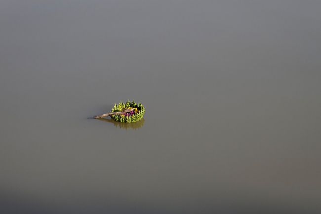 Phimai boat races-006